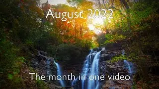 80 minutes of epic background relaxation music - August 2022 - Mind Drifter