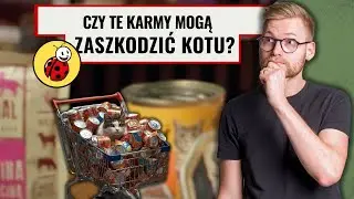 Karma dla kota z BIEDRONKI - Jaką wybrać?