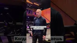 😅ну животик, и что? 
