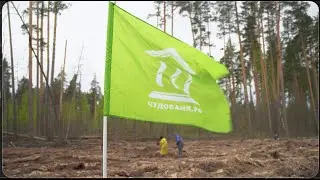 Купил баню - ПОСАДИЛ ДЕРЕВО! Забота о природе в деле с компанией Чудо Баня!