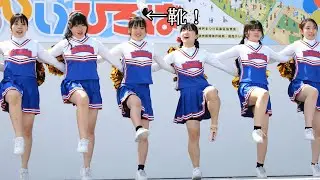 神戸市立神港橘高等学校ダンス部　チアダンス(二曲目)　第50回神戸まつり