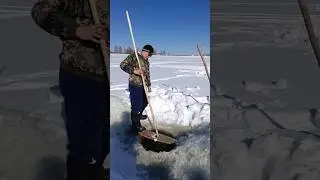 Трудовая рыбалка Куйуур