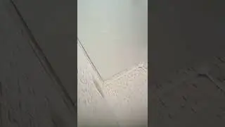 присоединяйтесь *не обязаны*