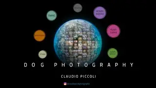 Opportunità per entrare nella Dog Photography