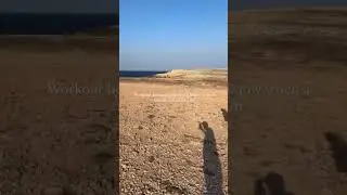 #liftcarry | Girl gives piggyback ride to her friend | #liftcarry #piggyback #stronggirl lift-230