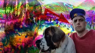 Callum's Corner Did NOT Have Sexual Relations With That Dog.