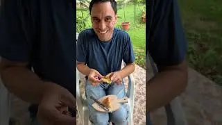 🤫Italian ASMR