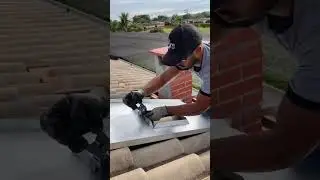 How do Brazilians waterproof their roof #garden #howto #homedecor  #outdoors #harvest #construction