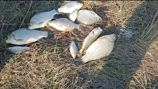 забытая снасть на карася