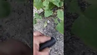 Пылесос KRAISSMAN
