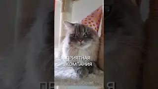 Повод есть 🤗 