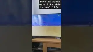 POV: If roads were like this in real life