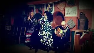 FlamencoEsencua Noches con Arte / La Marquesita