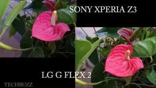 LG G Flex 2 Vs Sony Xperia Z3 Camera Test