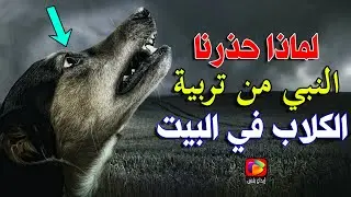 لماذا حذرنا النبيﷺ من لمس وتربية الكلاب في البيت، السبب اكتشفه العلم بعد 1400 عام، سبحان الله !