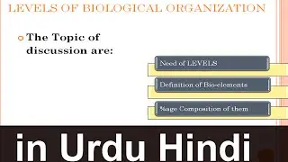 Levels of Biological Organization Biology Lecture 3 | Urdu Hindi | YT Academy