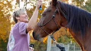 Healing from Neglect: Walking Our Horses Around the Farm