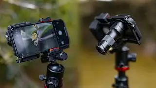 Una LENTE MACRO para tu teléfono | Apexel - TM6