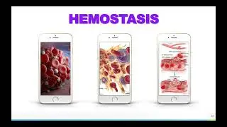 Hemostasis