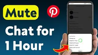 How to Mute Pinterest Chat for 1 Hour (Updated)