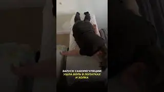 Один из запусков моей ученица с курса по саморегуляции! Запрос: боль в лопатках и холка