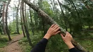 Vallyn metsä päivä minuutissa