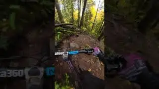 That's a nice rock  