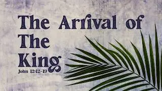 The Arrival of The King | John 12:12-19