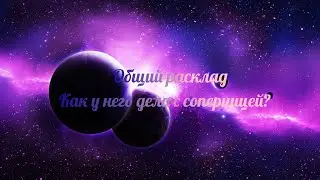 Общий расклад. Как у него дела с соперницей?