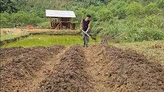 The young man abandoned his hectic city life to become a farmer in the forest.