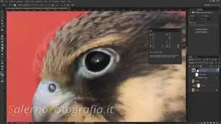 Flusso di lavoro completo - Post Produzione di un'immagine con Lightroom e Photoshop
