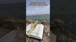 Hz Əli Mübarək İbrətamiz Kəlamları 355 #shorts #HzAli #Nehculbelaga #kelam #ibretamiz #Dua