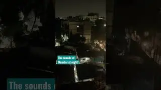The sounds of Mumbai at night! #mumbai #maharashtra #india #travel #culture #music #dance