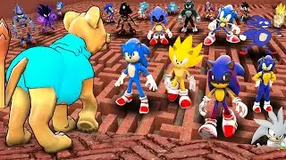 Can SANIC find me in a MAZE?! (Full Movie)