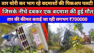 बलरामपुर: बिजली तार चोरी कर भाग रहे बदमाशों की पिकअप गाड़ी पलटी