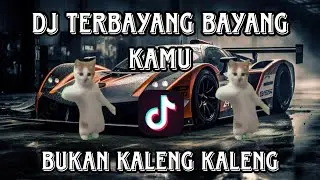DJ TERBAYANG BAYANG KAMU| BUKAN KALENG KALENG| DJ TIKTOK 🔥🔥