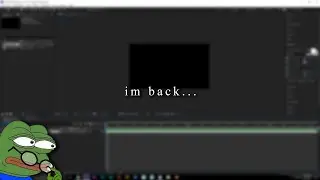 Why I Been Inactive...