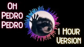 PEDRO PEDRO PEDRO DANCING RACOON For 1 Hour | Raffaella Carrà | Енот танцует