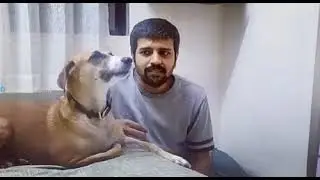 Directed by Robert B Weide Dog fun