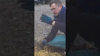 Un Tocator cu cea mai buna siguranta! 