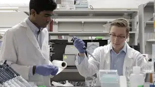 Labors of Lab - Sunjay Letchuman '22 & Michael Pitonak '22 (Episode 37)