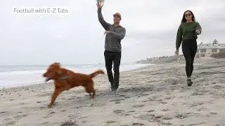 Sport Balls with E-Z Tabs Dog Toy