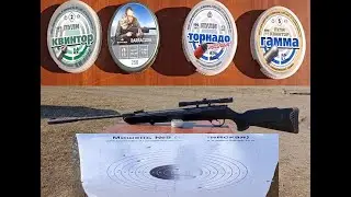HATSAN 125 (Раздушенный) на 25 метров разными пульками