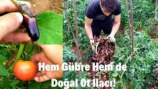 Yabani Otlar ile Mücadele/ Ücretsiz Gübre Yapımı