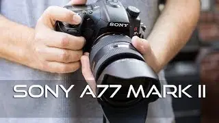Sony A77 Mark II Review Sample Images