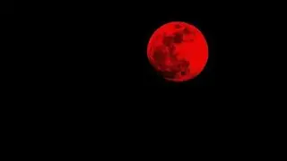 VAMPIRE'S VOW by Mike Feezy (2024) Prod.SuperProBeats