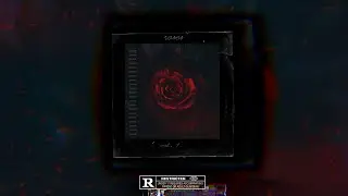 (FREE) 