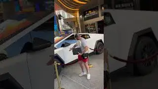 Carz in Vegas
