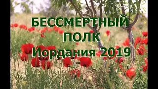 БЕССМЕРТНЫЙ ПОЛК в Иордании 2019  #Nadvp1