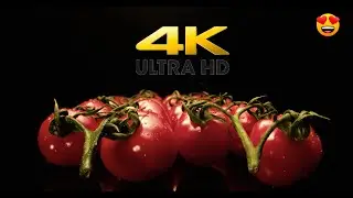Vivid Macro Shots of Cherry Tomatoes | 4K Close-Ups with Laowa 24mm Lens | Relaxing Music